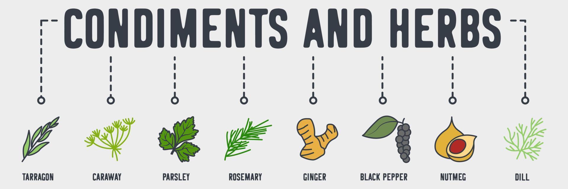 condiments and herbs banner web icon. tarragon, caraway, parsley