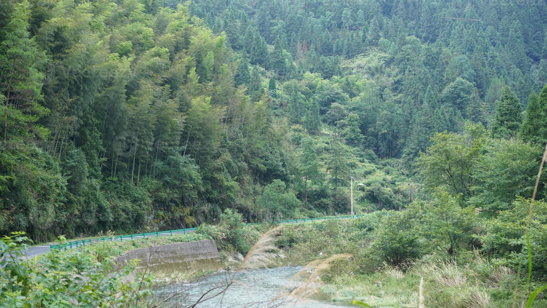 el hermoso paisaje rural chino con los bosques de bambú en la colina foto