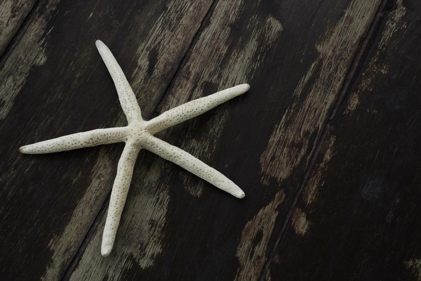 A starfish on the wooden background photo