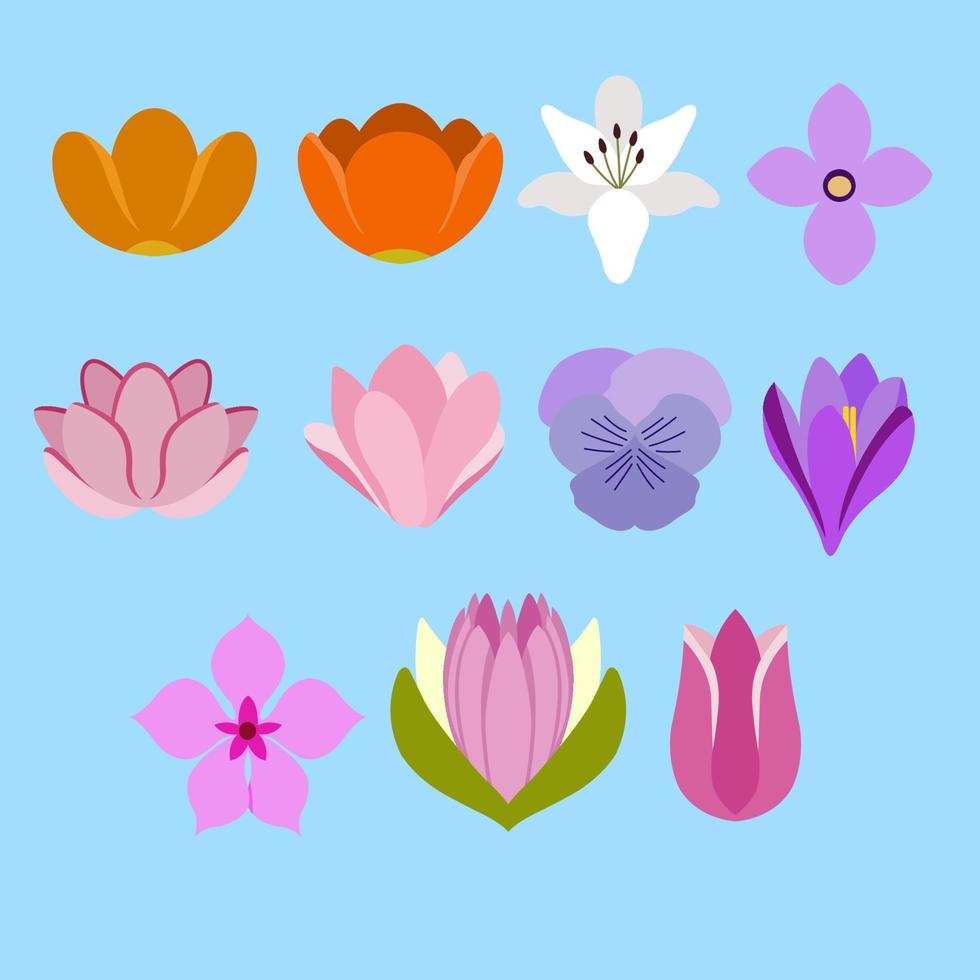 Set of Flat Flower Illustration vector