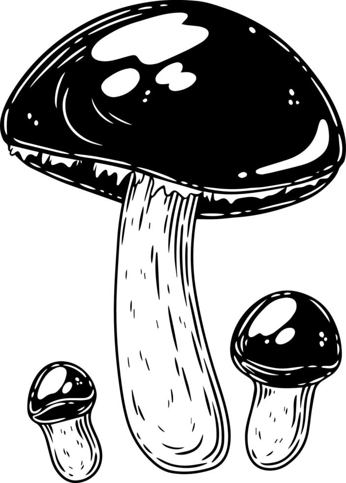 A set of black and white mushrooms. vector