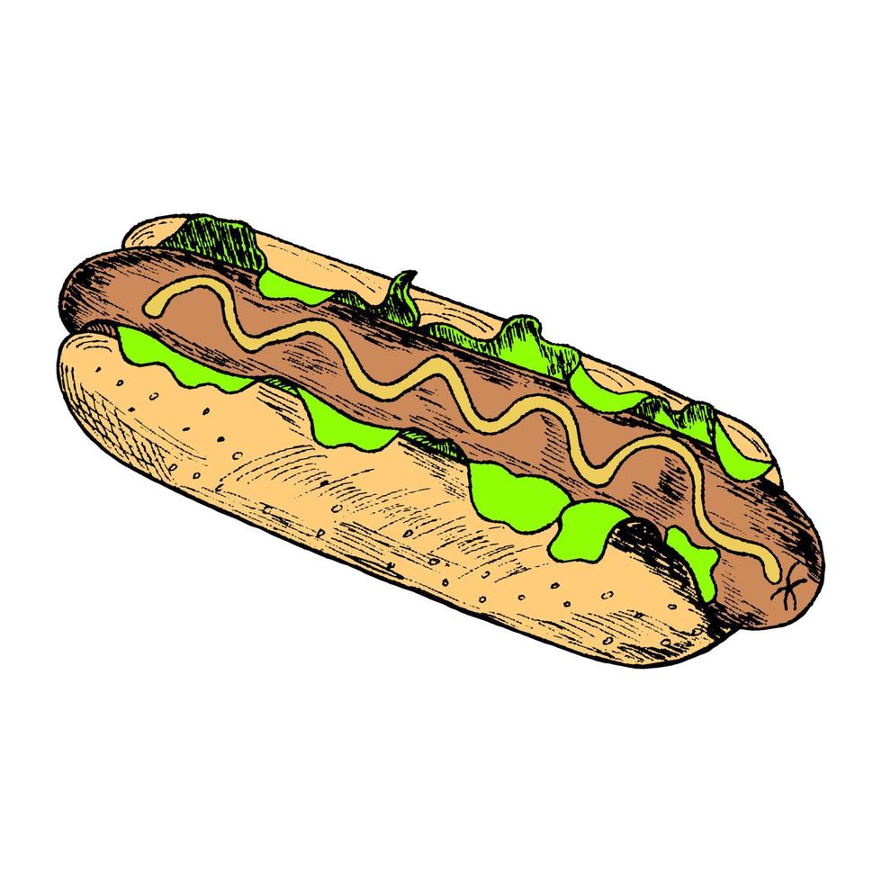 hot dog.hand-drawn.vector ilustración de comida rápida plana aislada para póster, menú, folleto, sitio web e icono de comida rápida vector