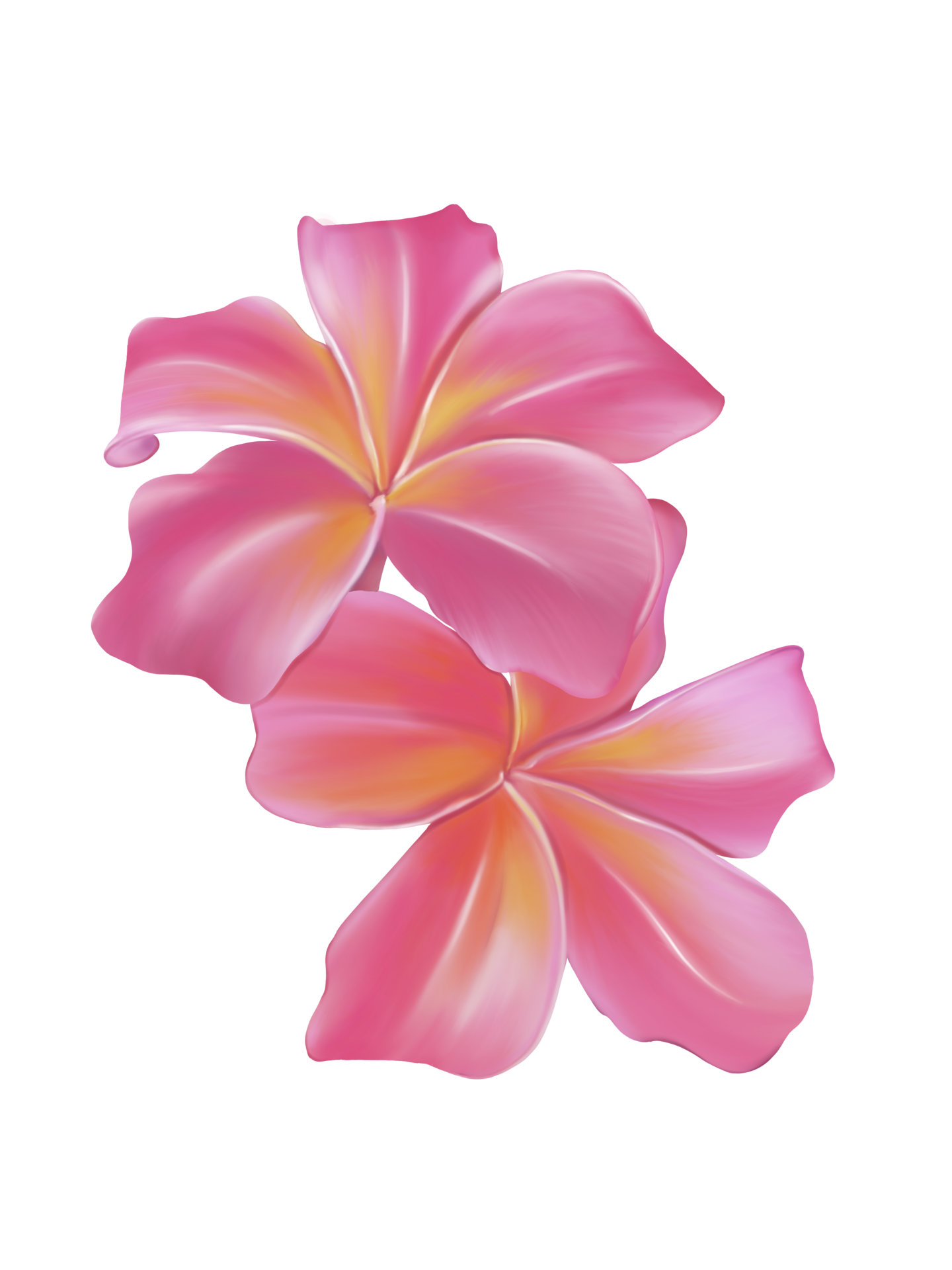 Hawaii Flower PNGs for Free Download