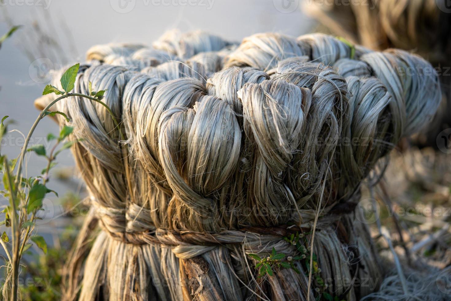 Jute vegetable fiber, Raw jute fiber hanging photo
