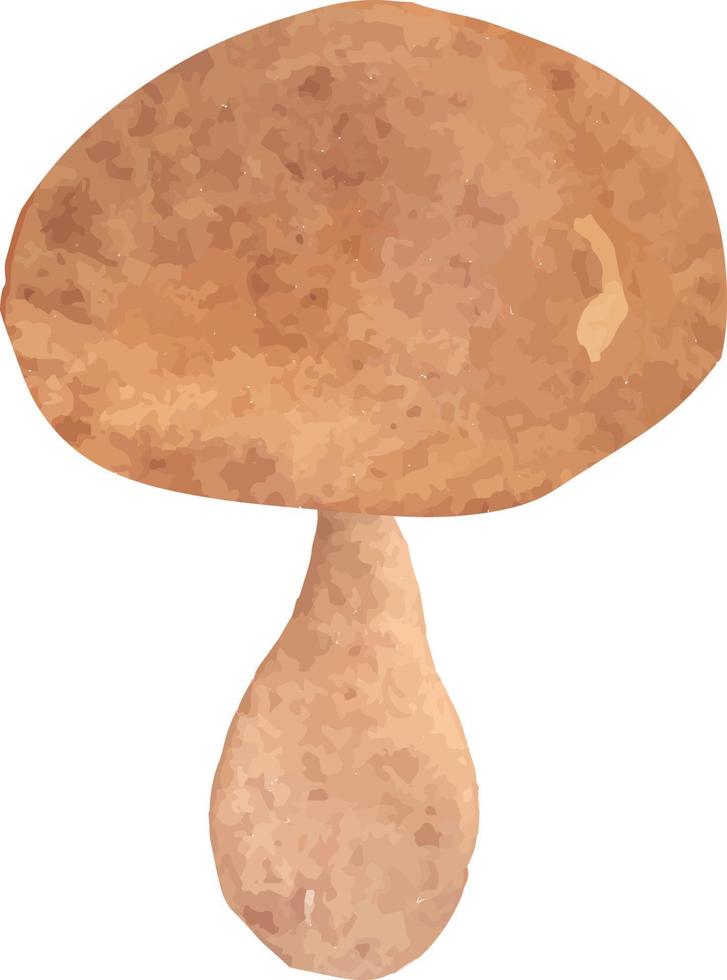 watercolor mushroom with wavy cap vector isolated hand drawn