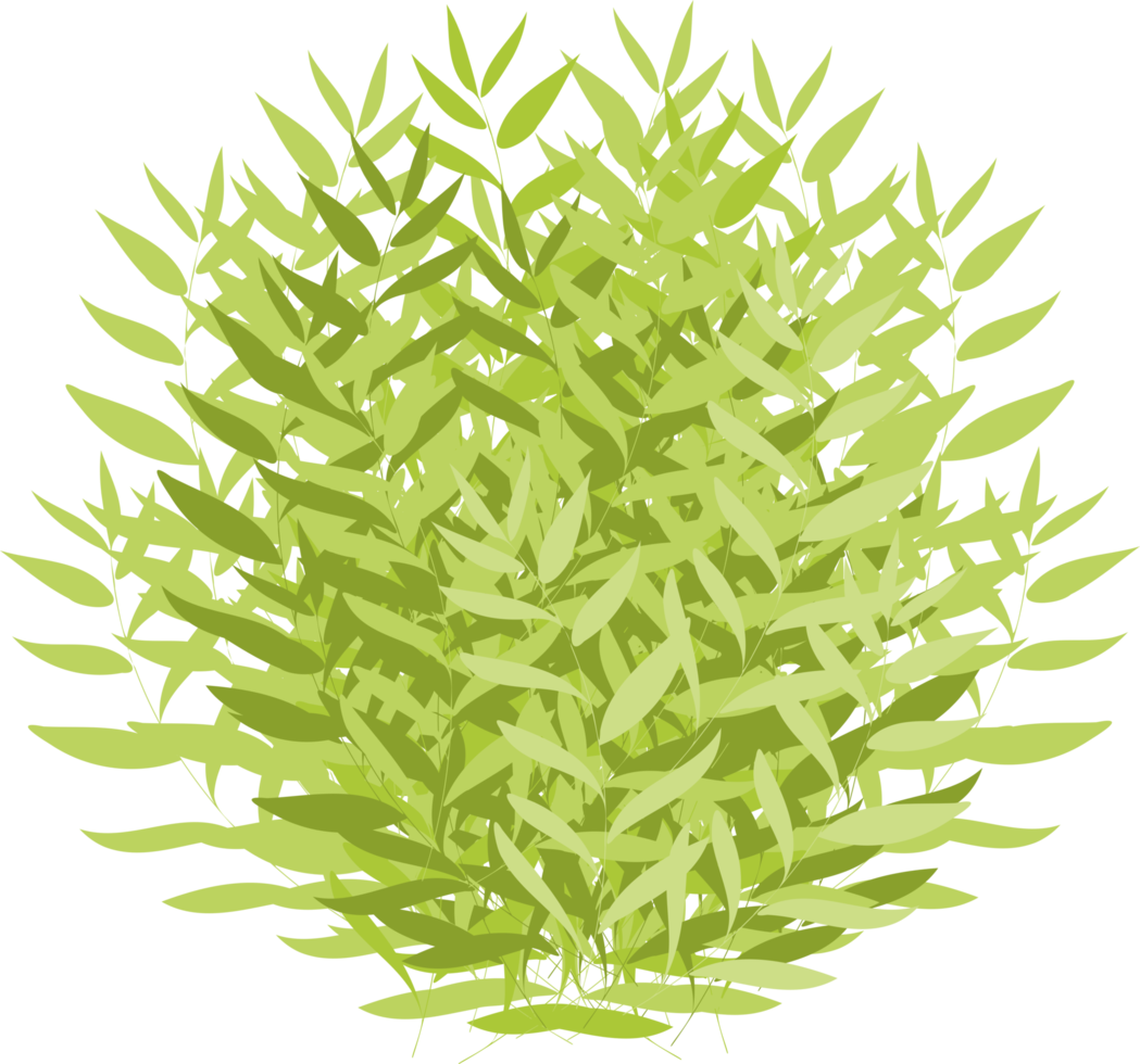 bush, green bush png