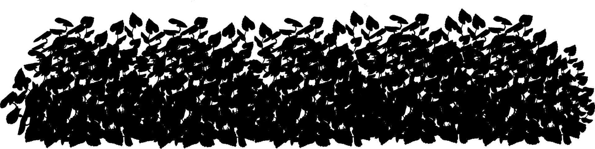 Monochrome vector drawing of bushes.