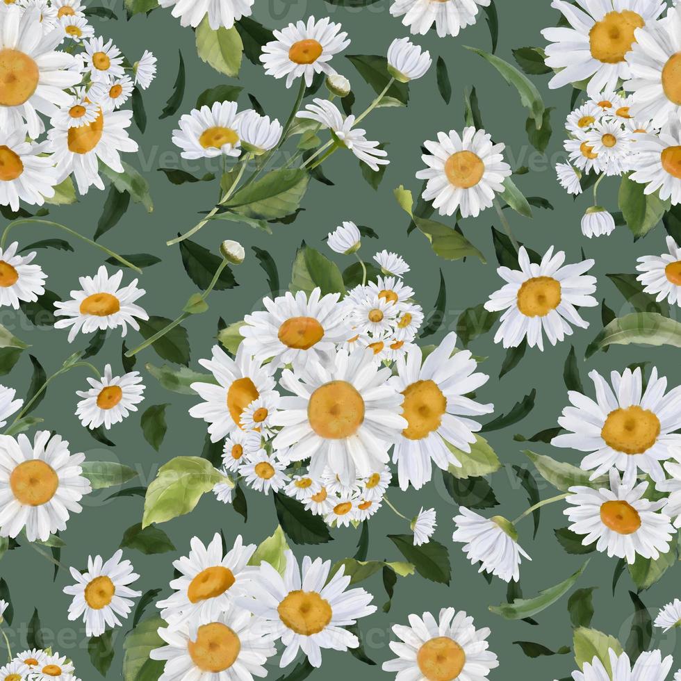 Seamless border with watercolor daisies. Hand drawn botanical drawing. Floral seamless border for fabric, paper and other print and web projects. photo