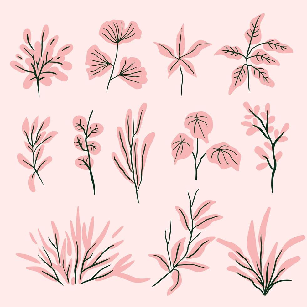 a set of handdrawn  botanical plant vector