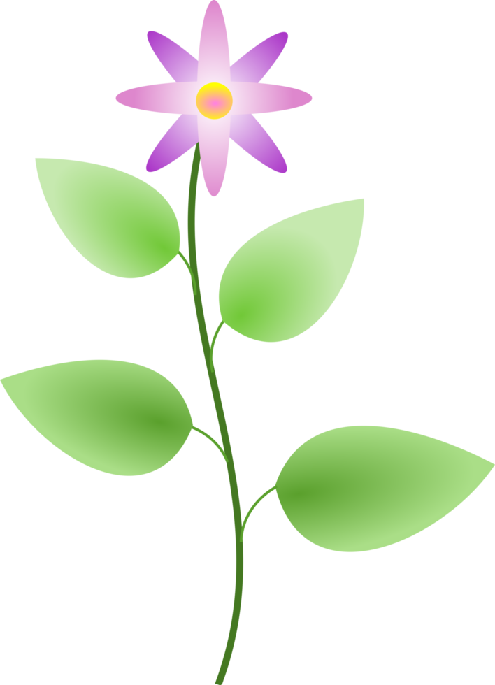 flower, summer flower png