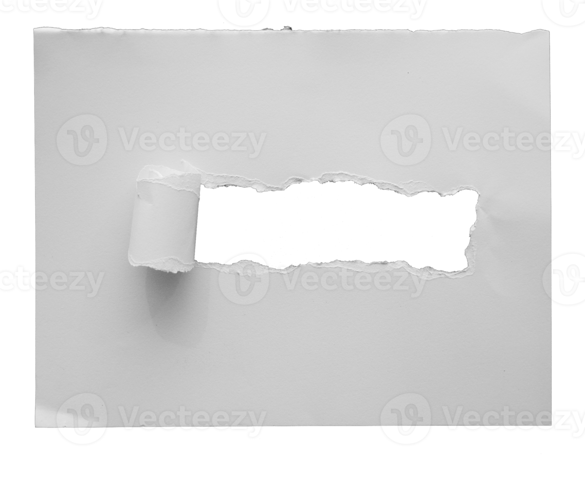 torn paper with the curled rolls ripped sides. a long black hole of torn on the white paper. realistic torn paper with the ripped edges for copy space and text. png