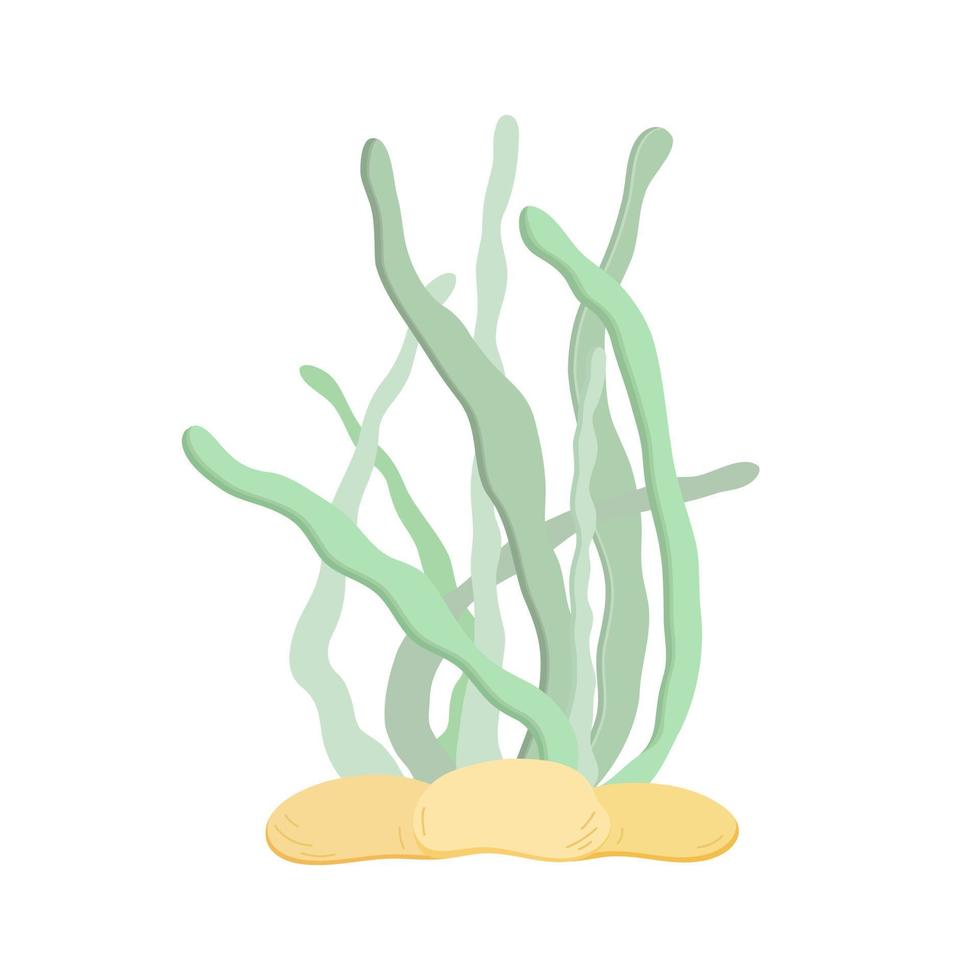Ilustración de vector de vida silvestre linda de algas marinas, imagen de dibujos animados de plantas marinas submarinas para niños, imagen dibujada a mano simple de vida marina