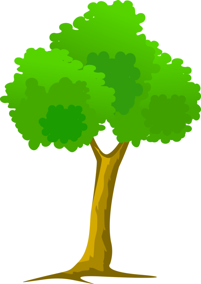 árbol de dibujos animados, árbol verde png