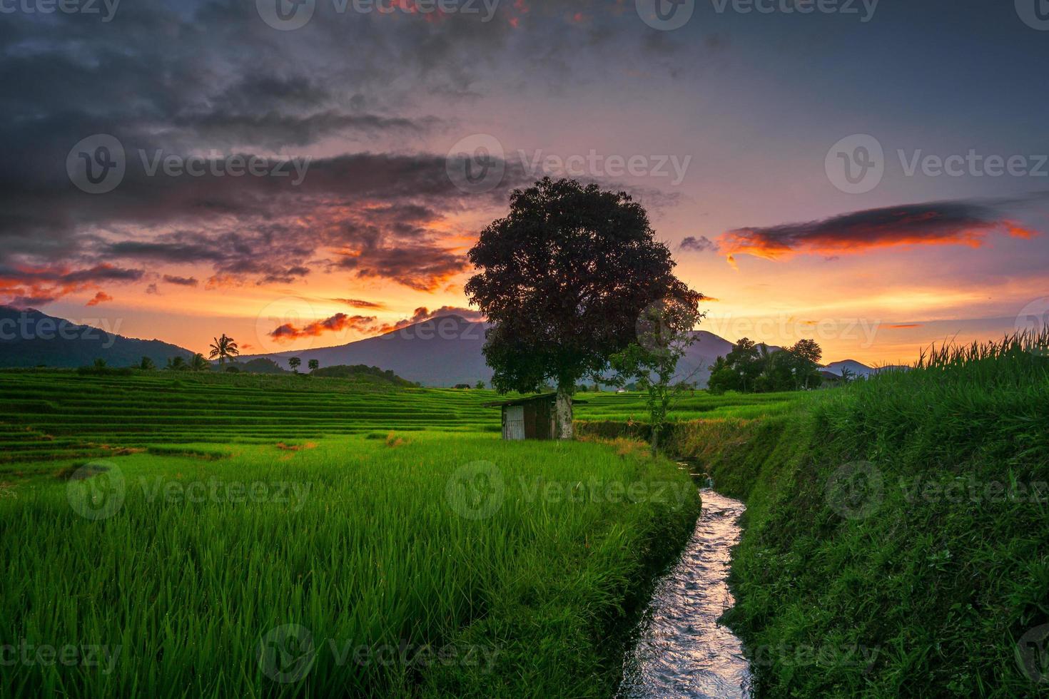 Nature panorama of green rice fields and flowing water in the mountains of rural area of Indonesia with sunrise photo