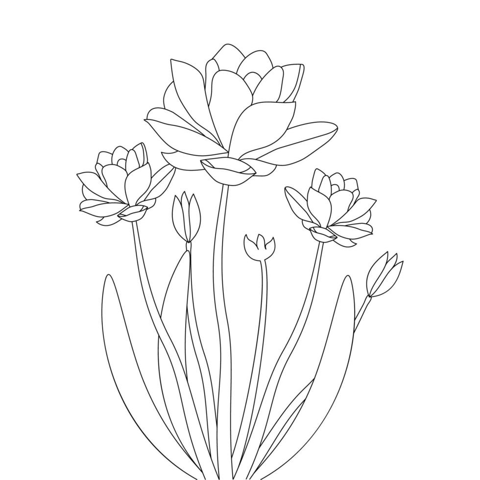 water lily flower line drawing pencil art of coloring page for kids crayon drawing vector