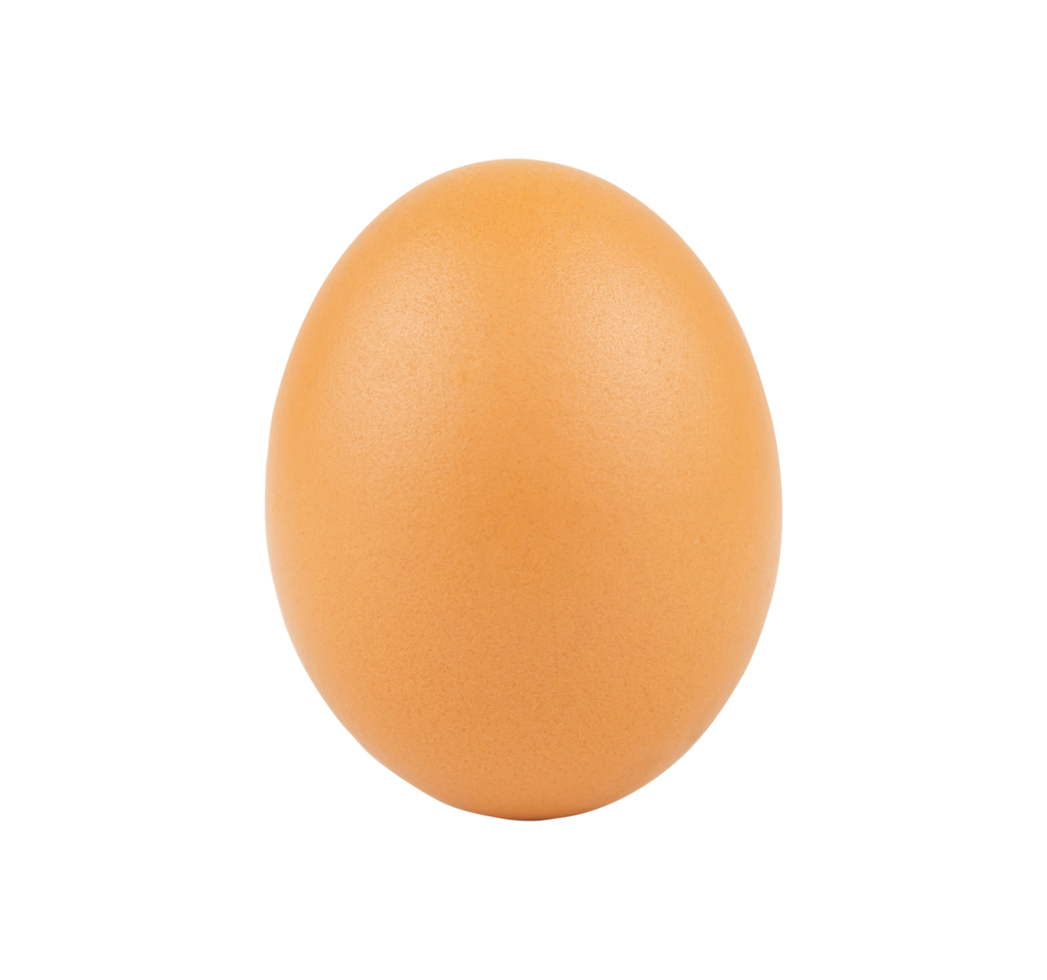 huevo de gallina, huevo png