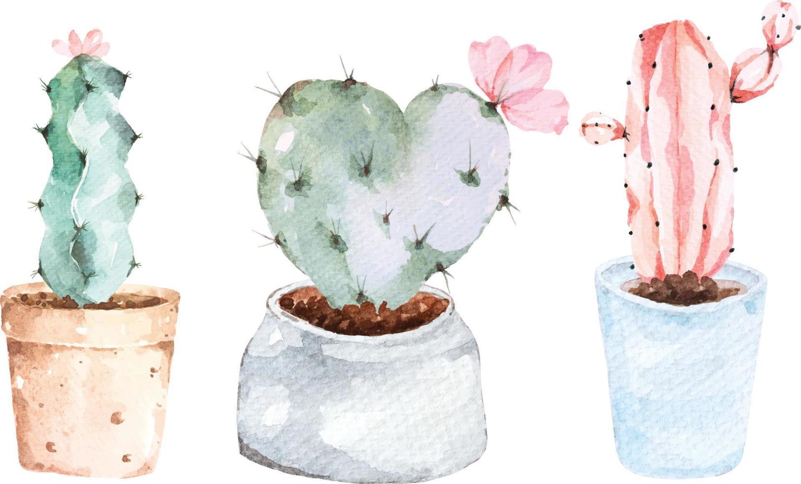 Watercolor cactus.Cactus plants in ceramic pots.Botanical painting. vector