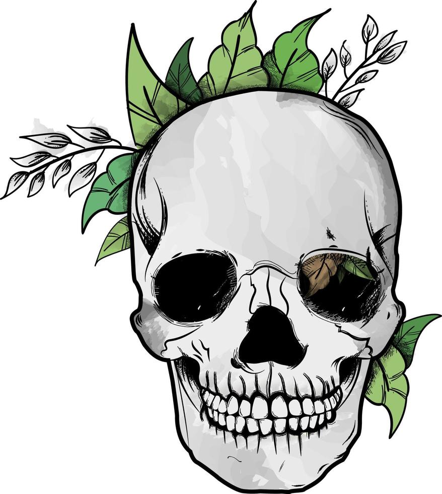 skull with tropical leafs vector