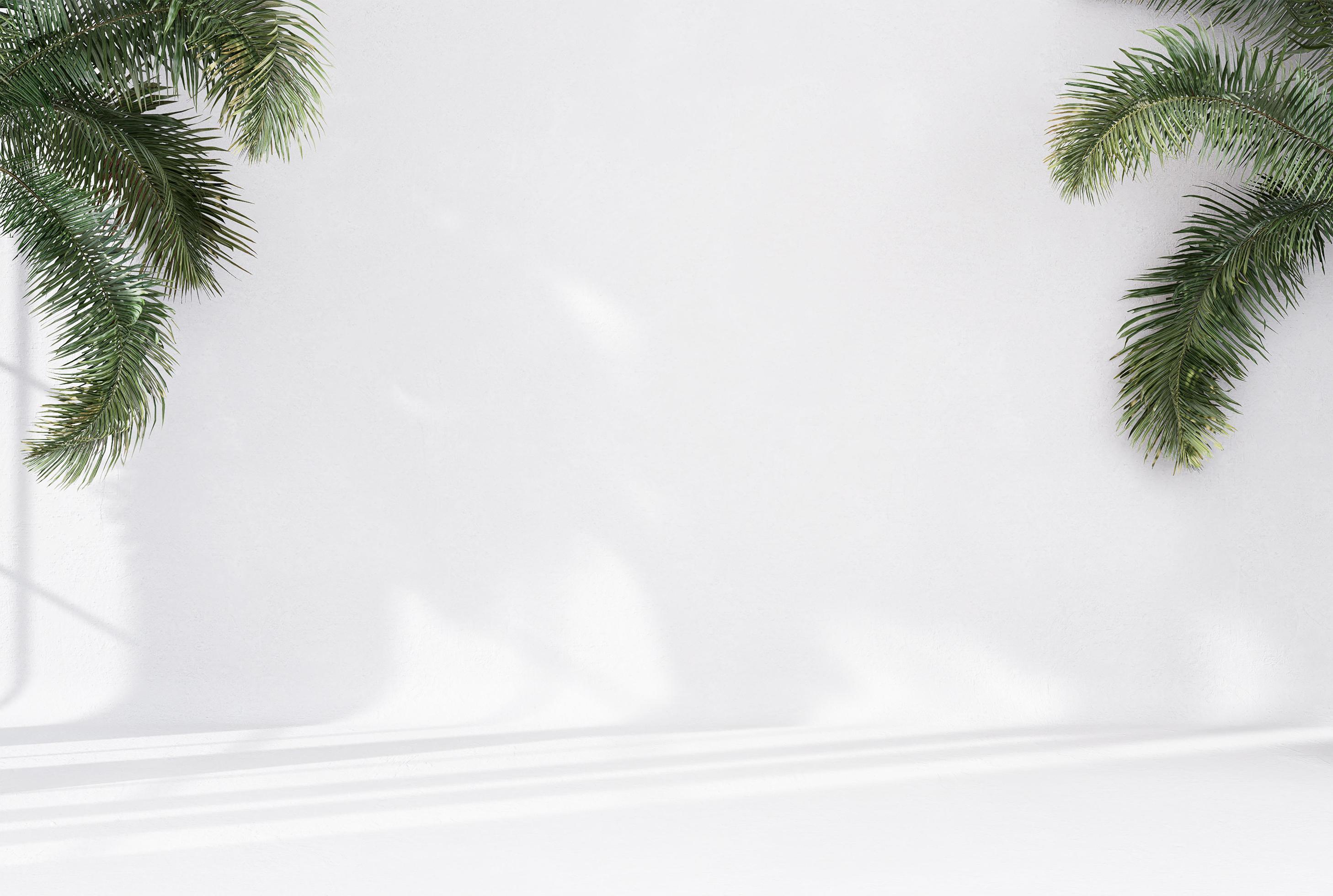 Abstract white studio background for product presentation empty room