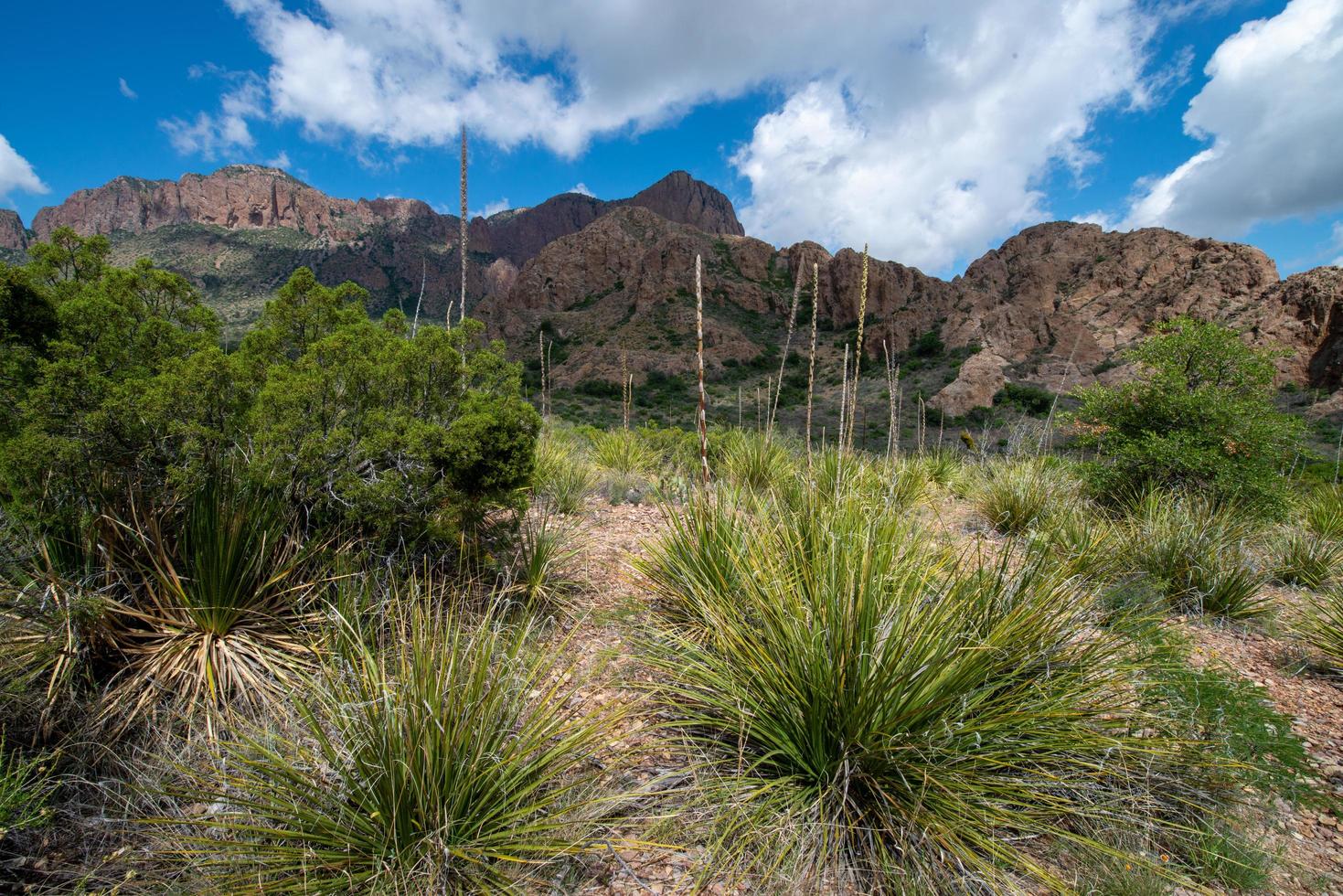 Big Bend National Park Texas photo