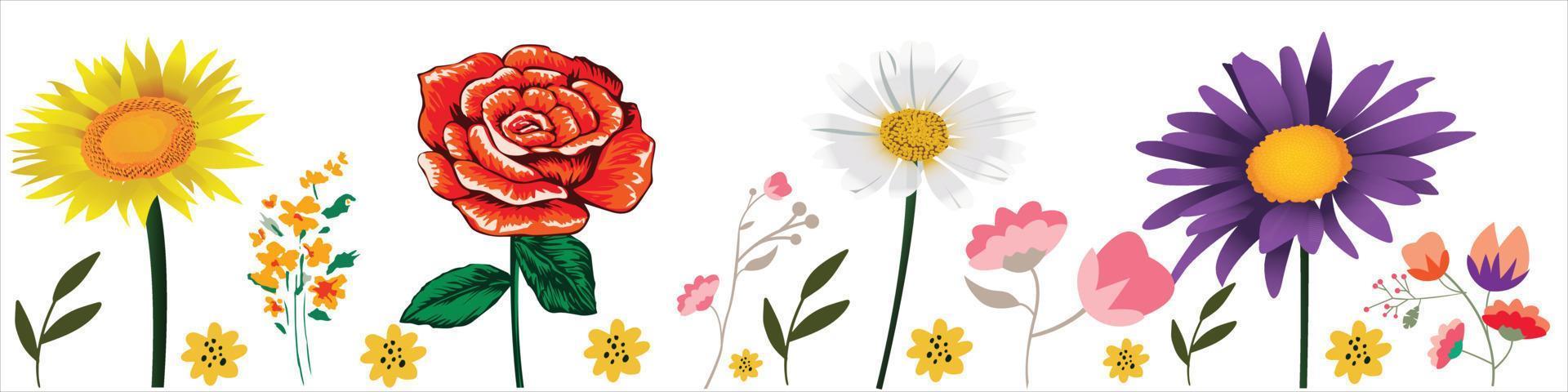 Horizontal white banner or floral backdrop decorated with gorgeous multicolored blooming flowers, roses, Sunflower. vector