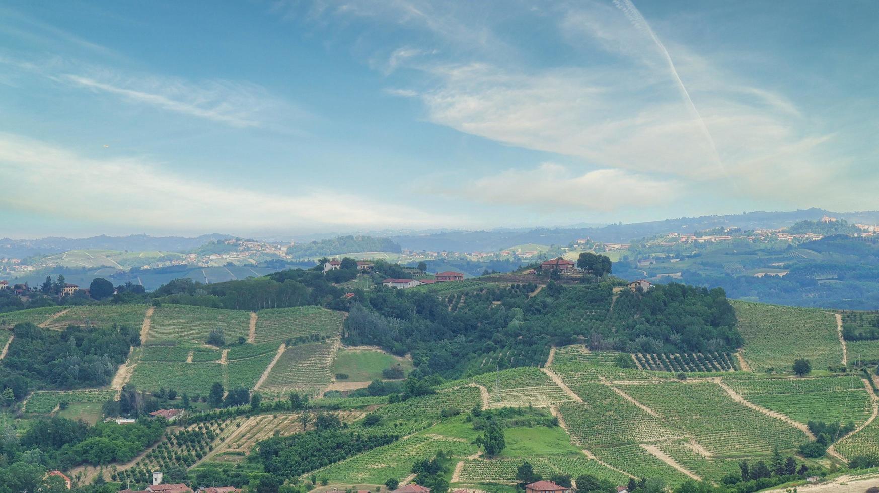 paisajes de viñedos en monta d'alba en el langhe piamontés, durante una mangialonga en junio de 2022 foto