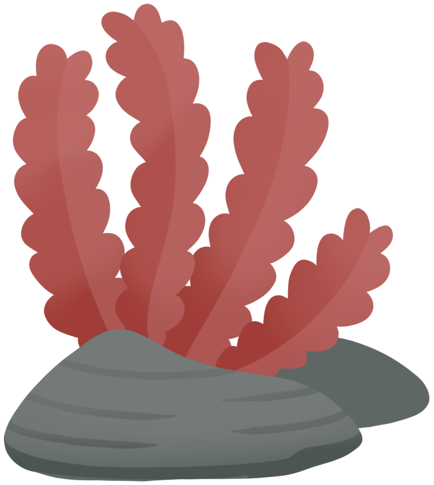 elemento di mare colorato simpatico cartone animato di alghe png