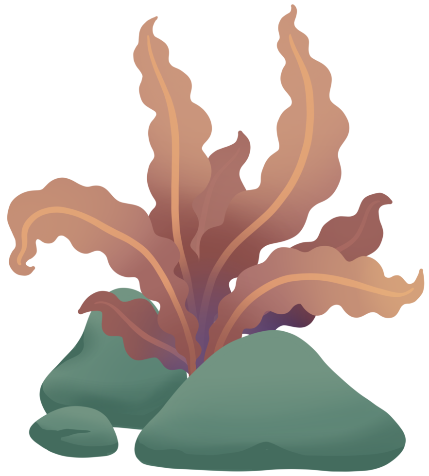 seaweed cute cartoon colourful sea element png