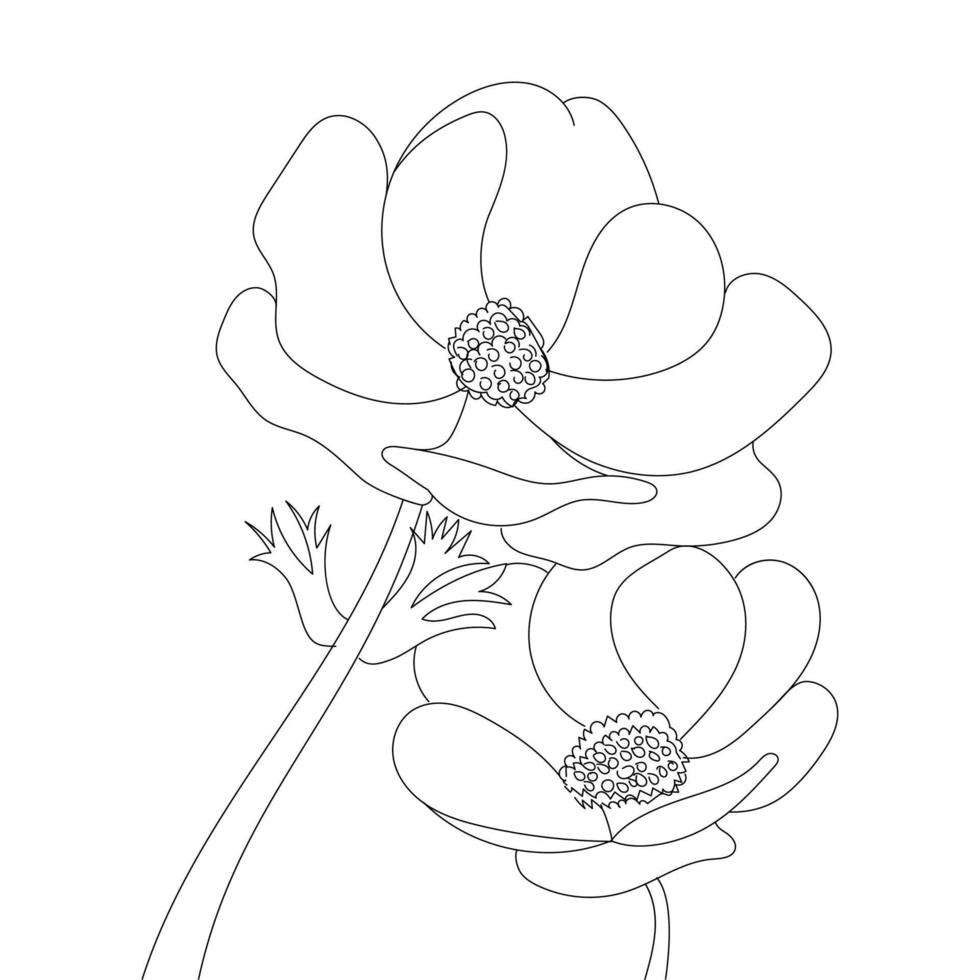 Flower line art, Floral Illustration vector