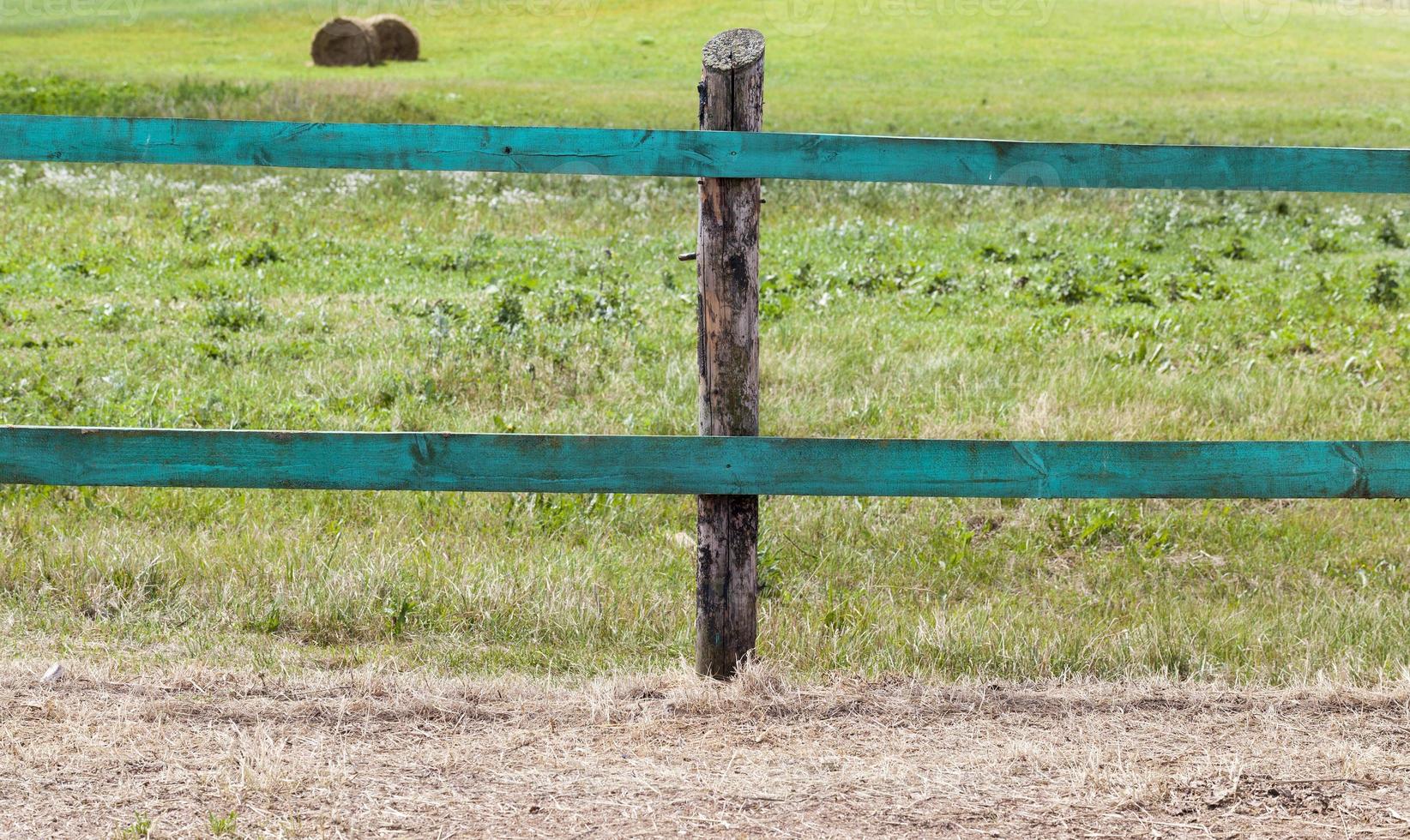 simple and primitive fence photo