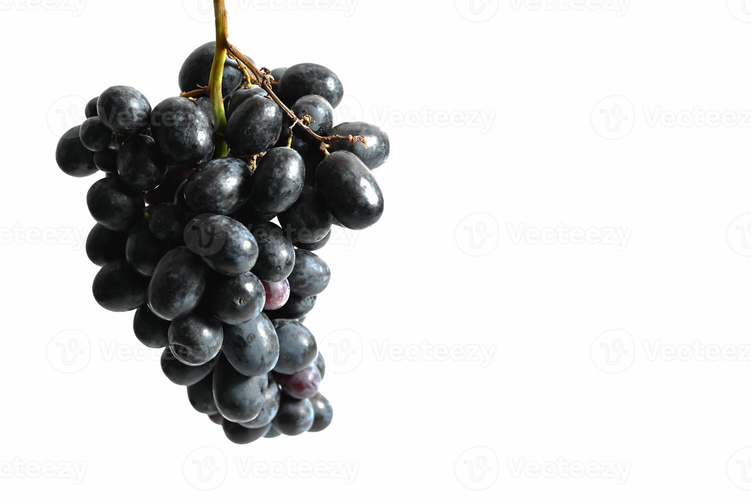 Black grapes isolated on white background photo