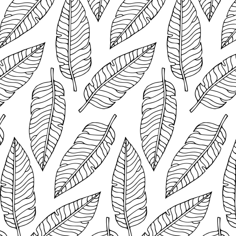 Tropic plants floral seamless jungle pattern. Print vector background of fashion summer wallpaper palm leaves in black and white gray style