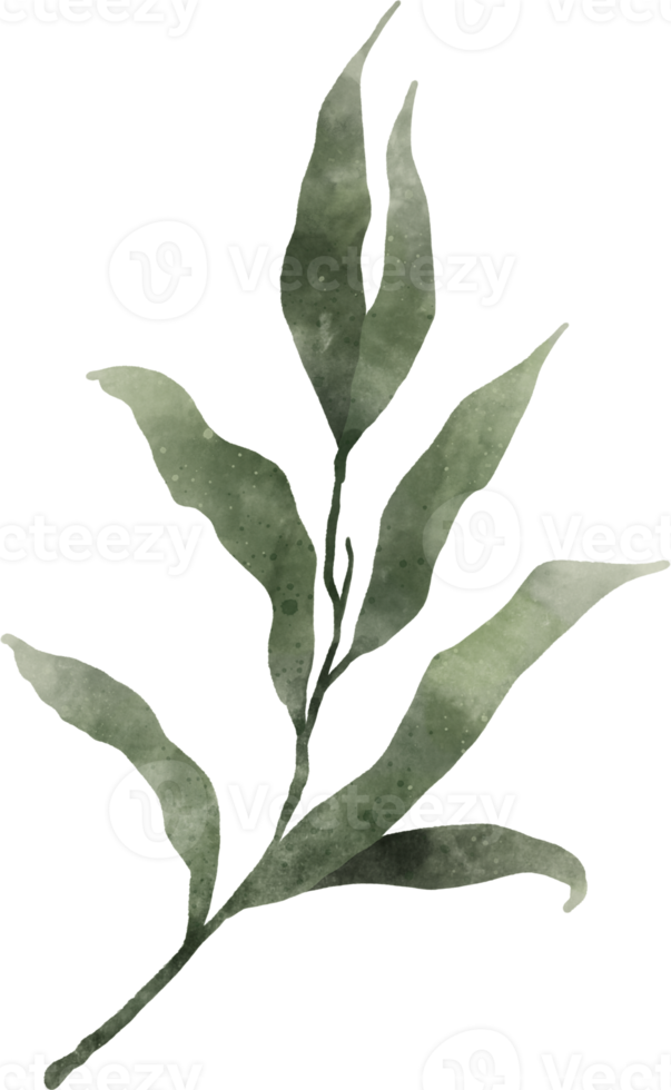 Greenery Leaf Watercolor 11995840 PNG
