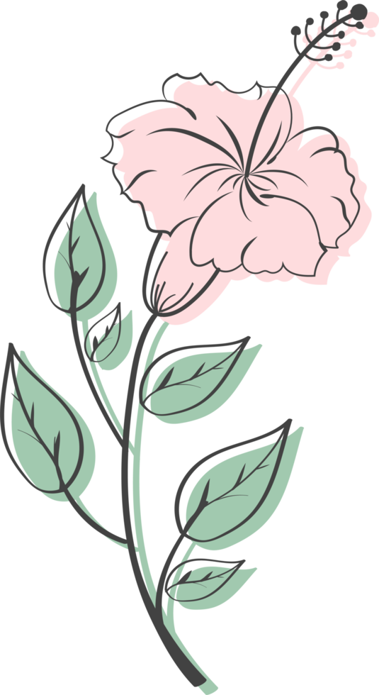 blumen und blätter handgezeichnet, abstrakte botanische illustration png