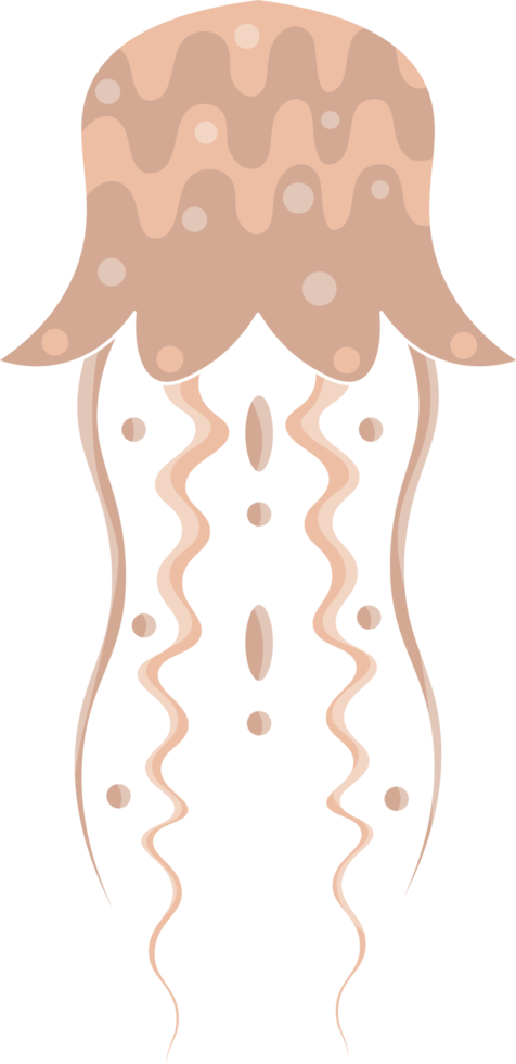 icono de dibujos animados de medusas. conjunto de dibujos animados aislados icono de medusa medusa. ilustración medusas aisladas sobre fondo blanco png