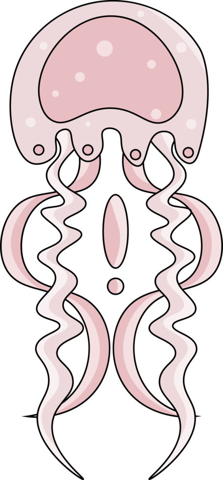 icono de dibujos animados de medusas. conjunto de dibujos animados aislados icono de medusa medusa. ilustración medusas aisladas sobre fondo blanco png