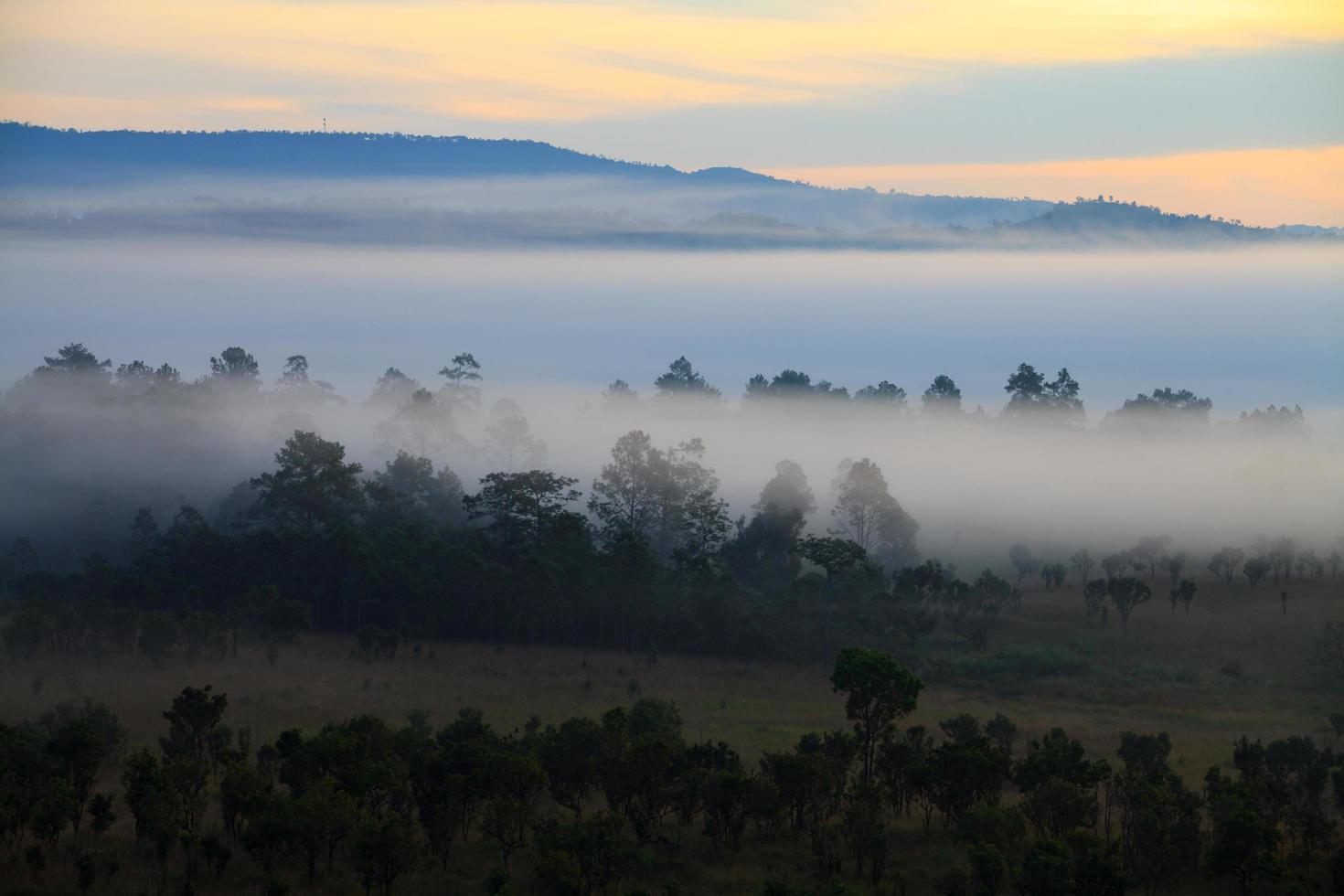 Misty morning sunrise at Thung Salang Luang National Park Phetchabun,Tung slang luang is Grassland savannah in Thailand photo