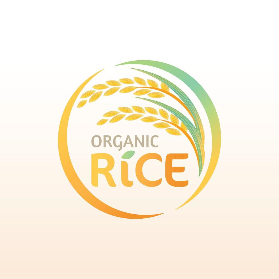 paddy rice premium organic natural product banner logo vector design