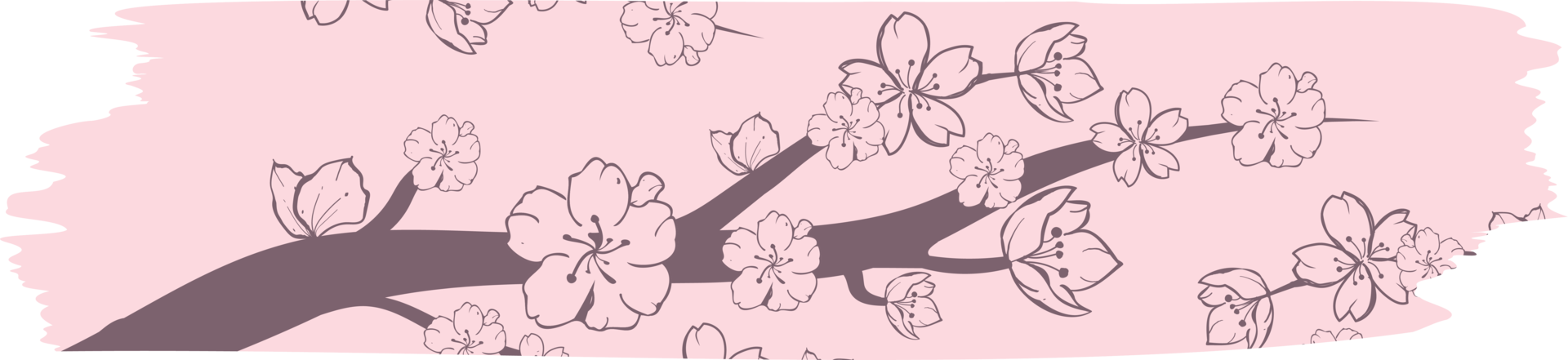 Washi tape with sakura or cherry blossom pattern, Washi tape sakura design illustration png