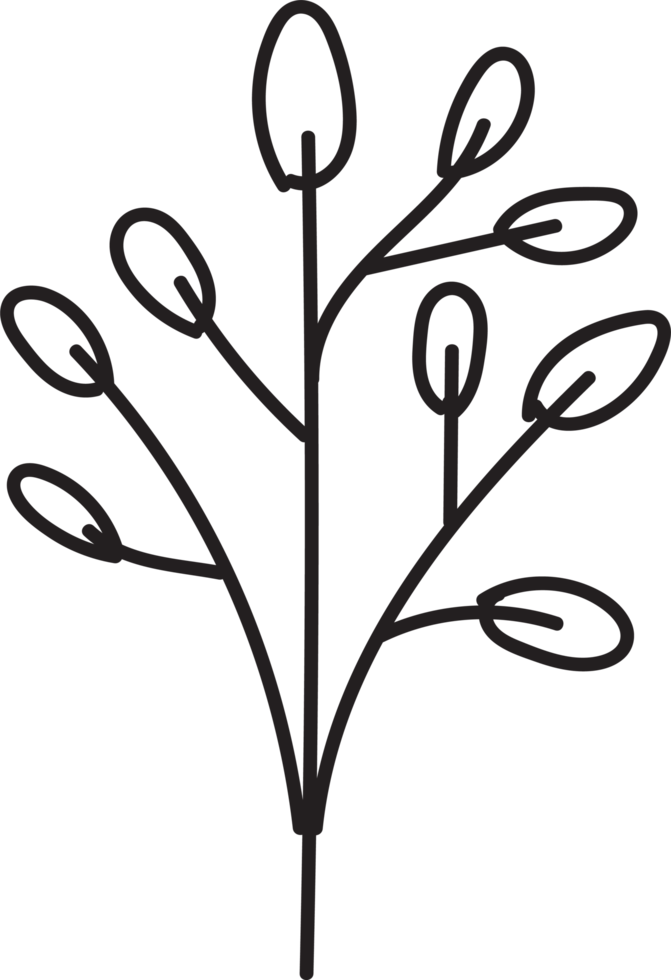 Handdrawn floral lineart, Leaves element illustration for design png