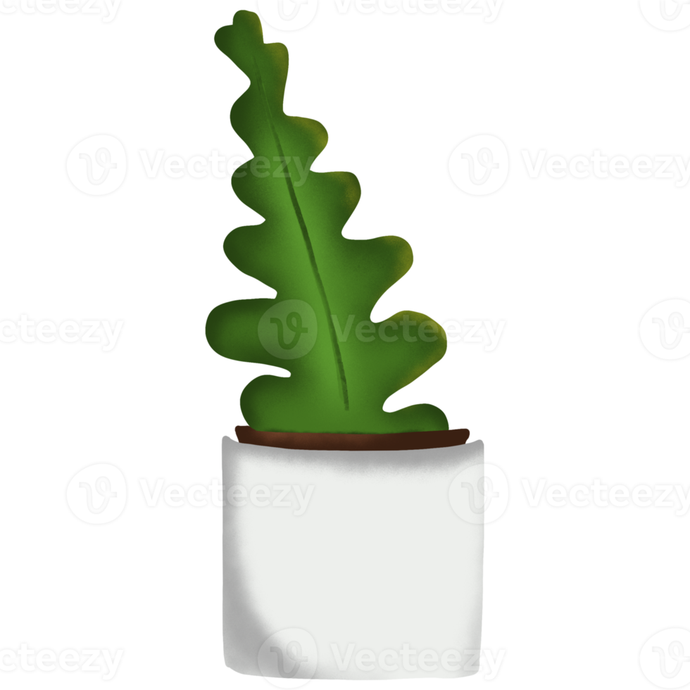 planta de cactus en maceta png