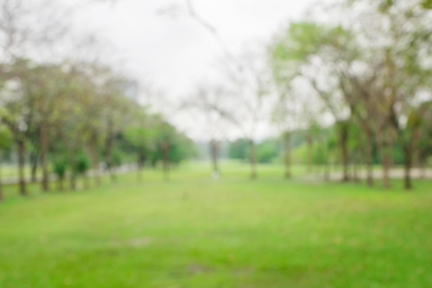 Blurred park,natural background photo