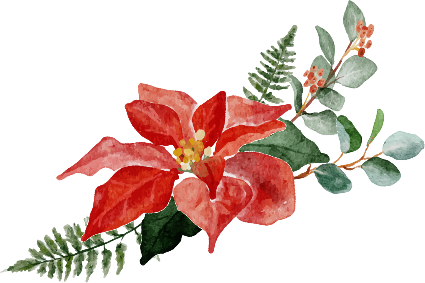 watercolor christmas poinsettia flower bouquet elements png