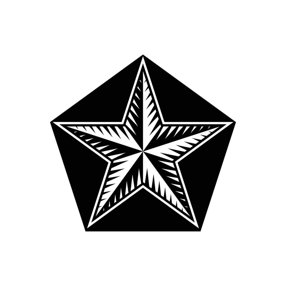 star icon vector. star icon vector illustration