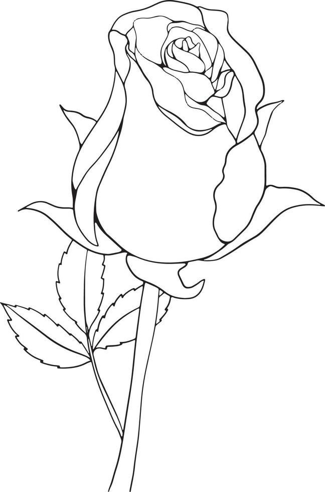 Rose Line Art Floral Line Art Rose Flower Line Art Vector Illustration For Invitation, Cards, Etc.