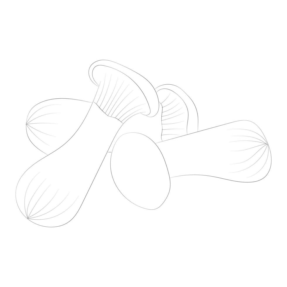 Mushroom coloring pages vector