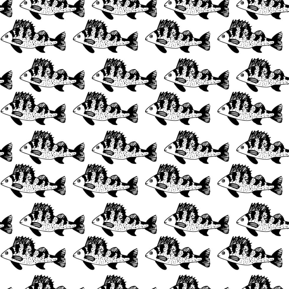 Seamless vector pattern of ruff fish on a white background. A hand-drawn doodle. River fish and fishing. For album design, paper, fabric printing, for boys.