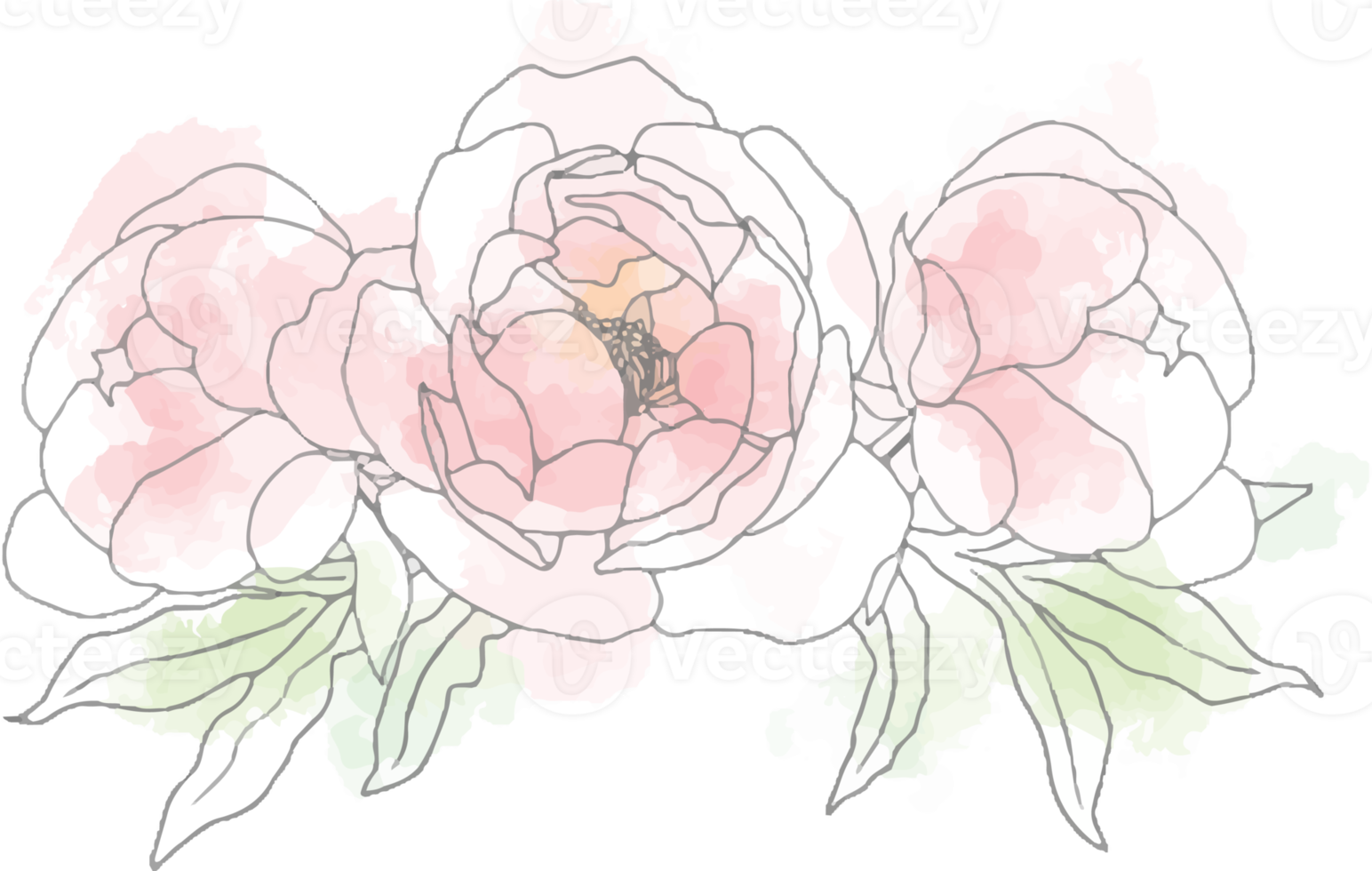 lös akvarell doodle linjekonst pion blomma bukett element png