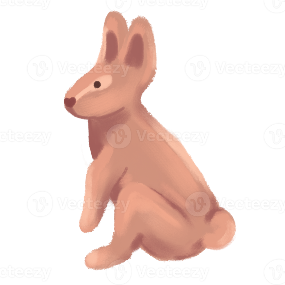 Rabbit animal  hand drawn illustration png