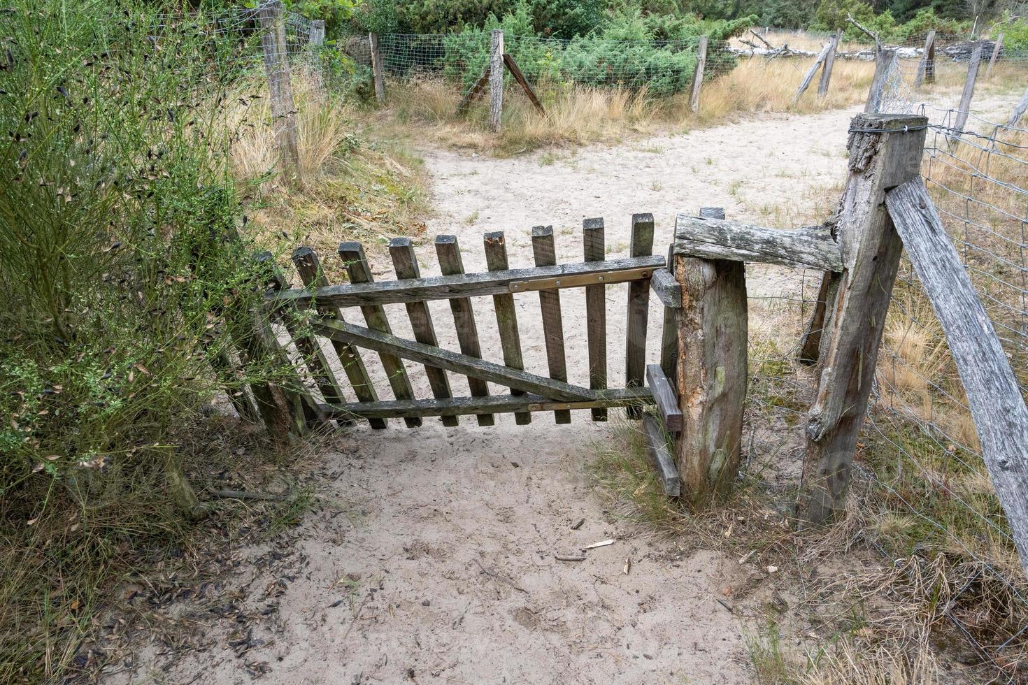 wooden gate in a field with fence photo